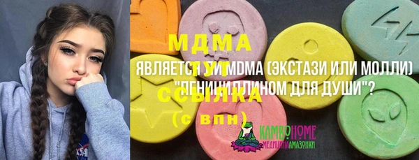 молекула духа Богородск